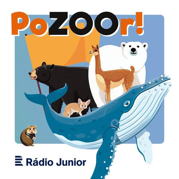 PoZOOR!